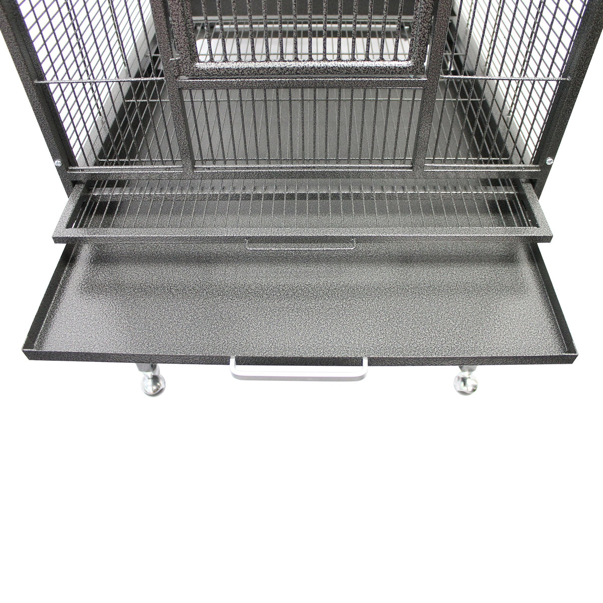 Madagascar Cage & Starter Pack for Sugar Gliders