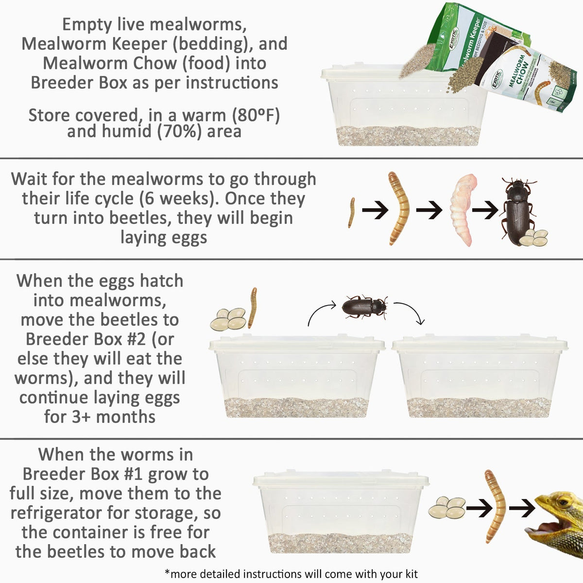 Mealworm Breeder Kit
