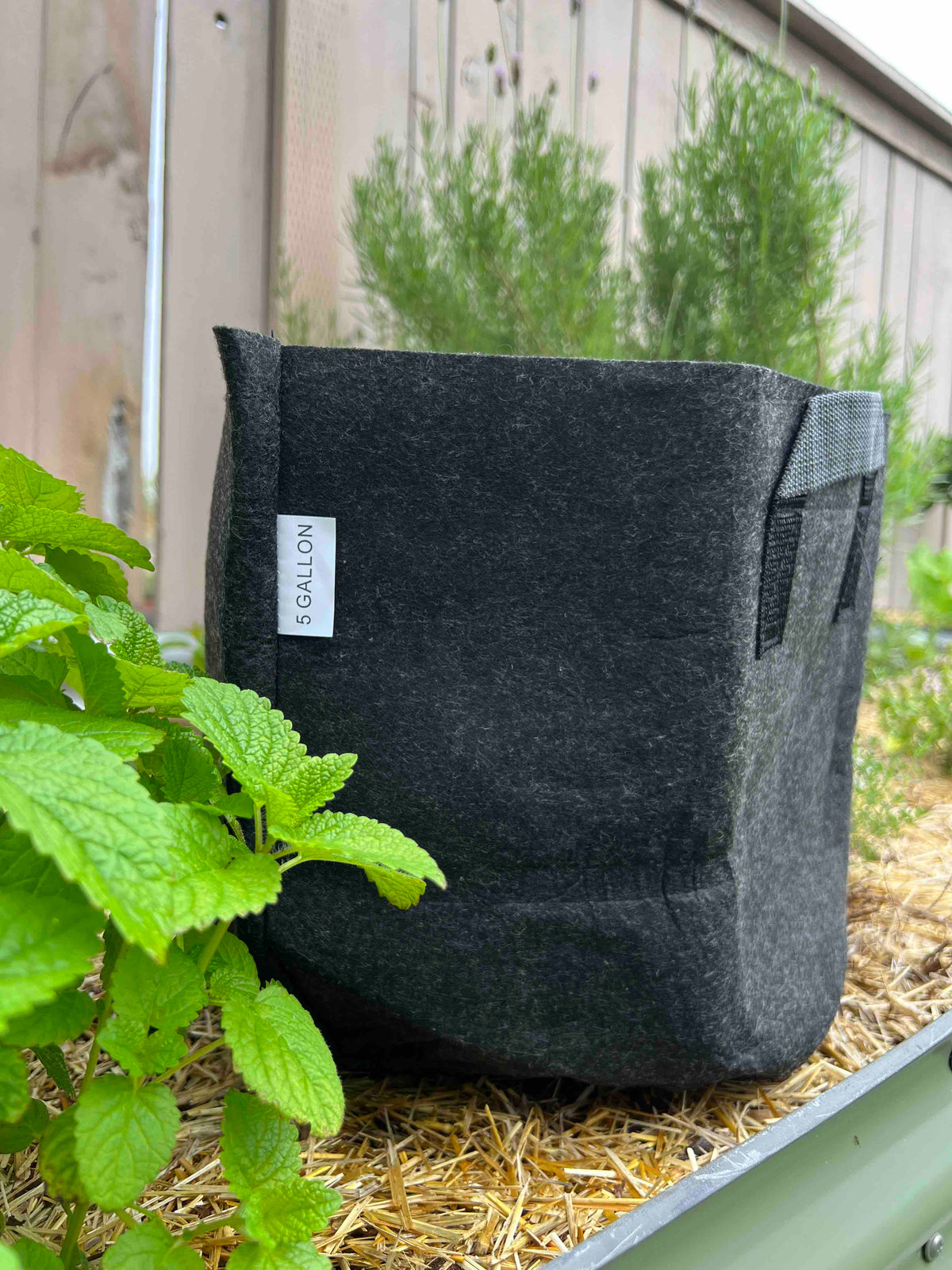 Beginner Composting Bundle