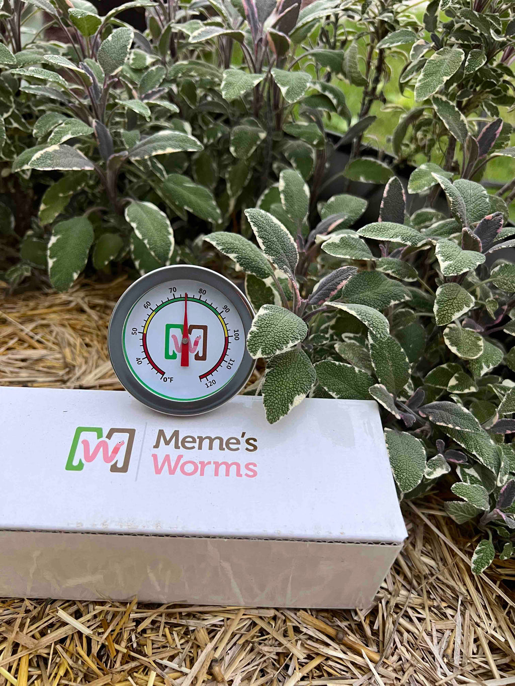Meme's Worm Thermometer