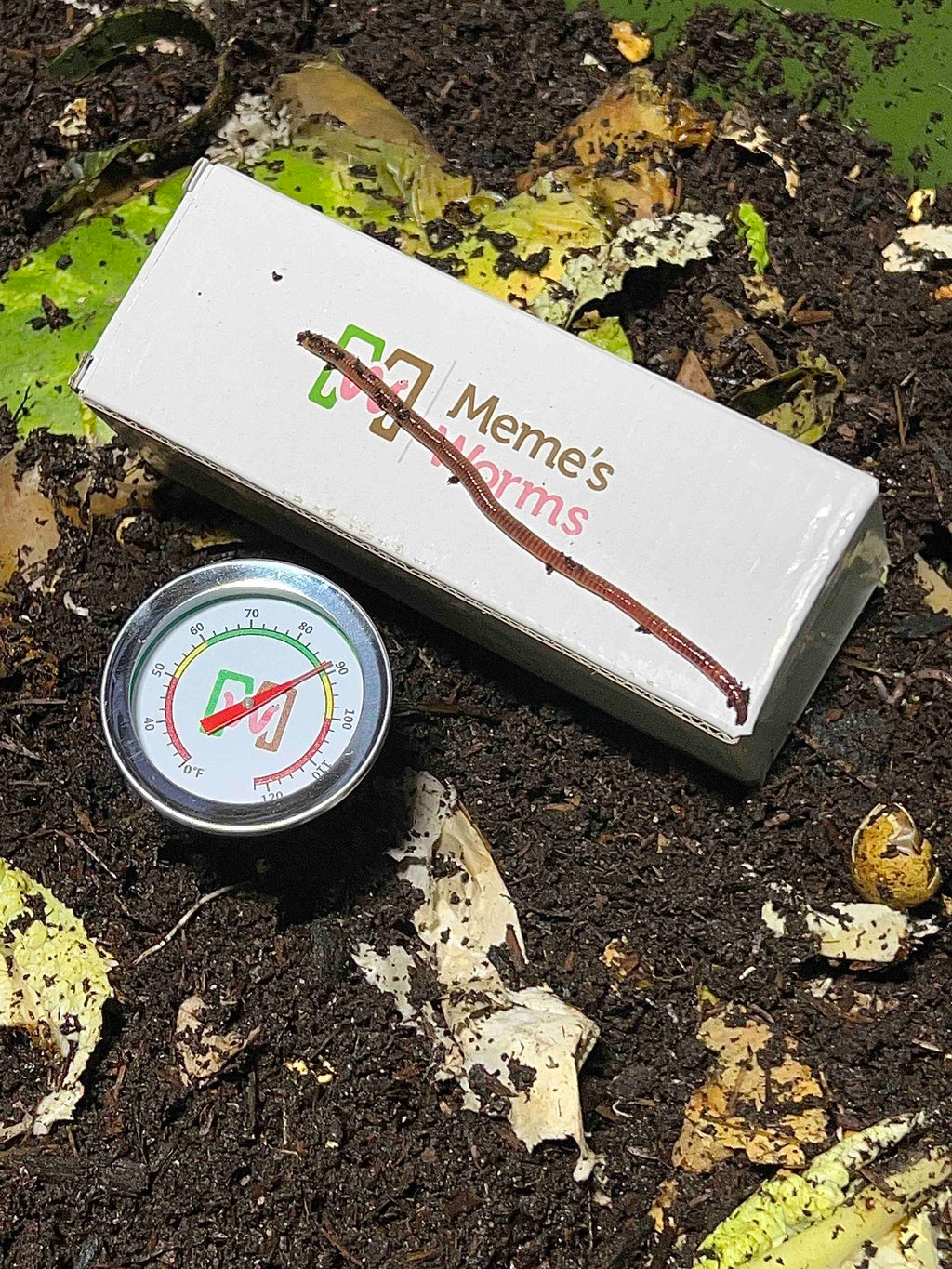 Meme's Worm Thermometer