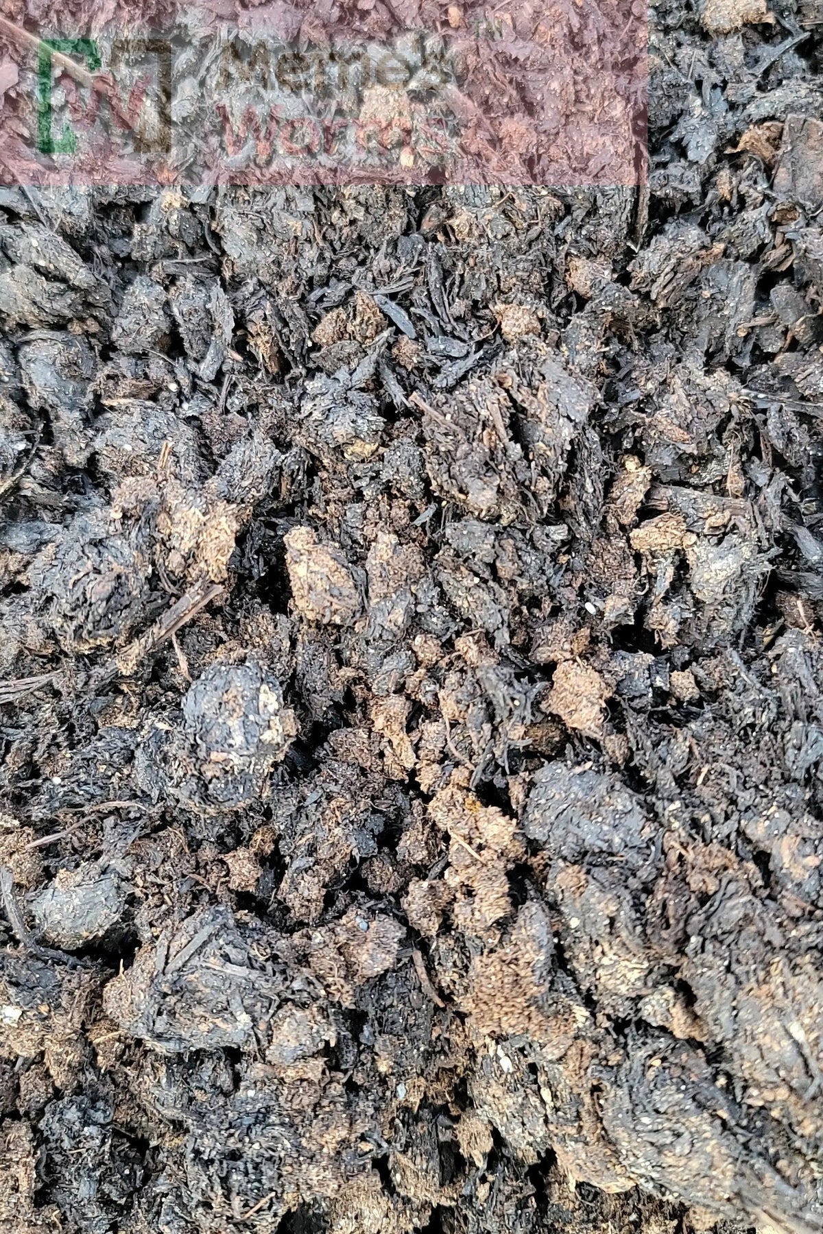 Mushroom Compost