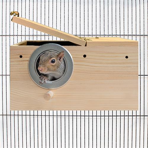 Congo Cage & Starter Pack for Squirrels