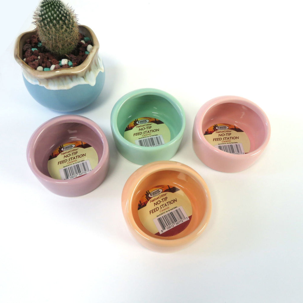 No-Tip Ceramic Feed Station