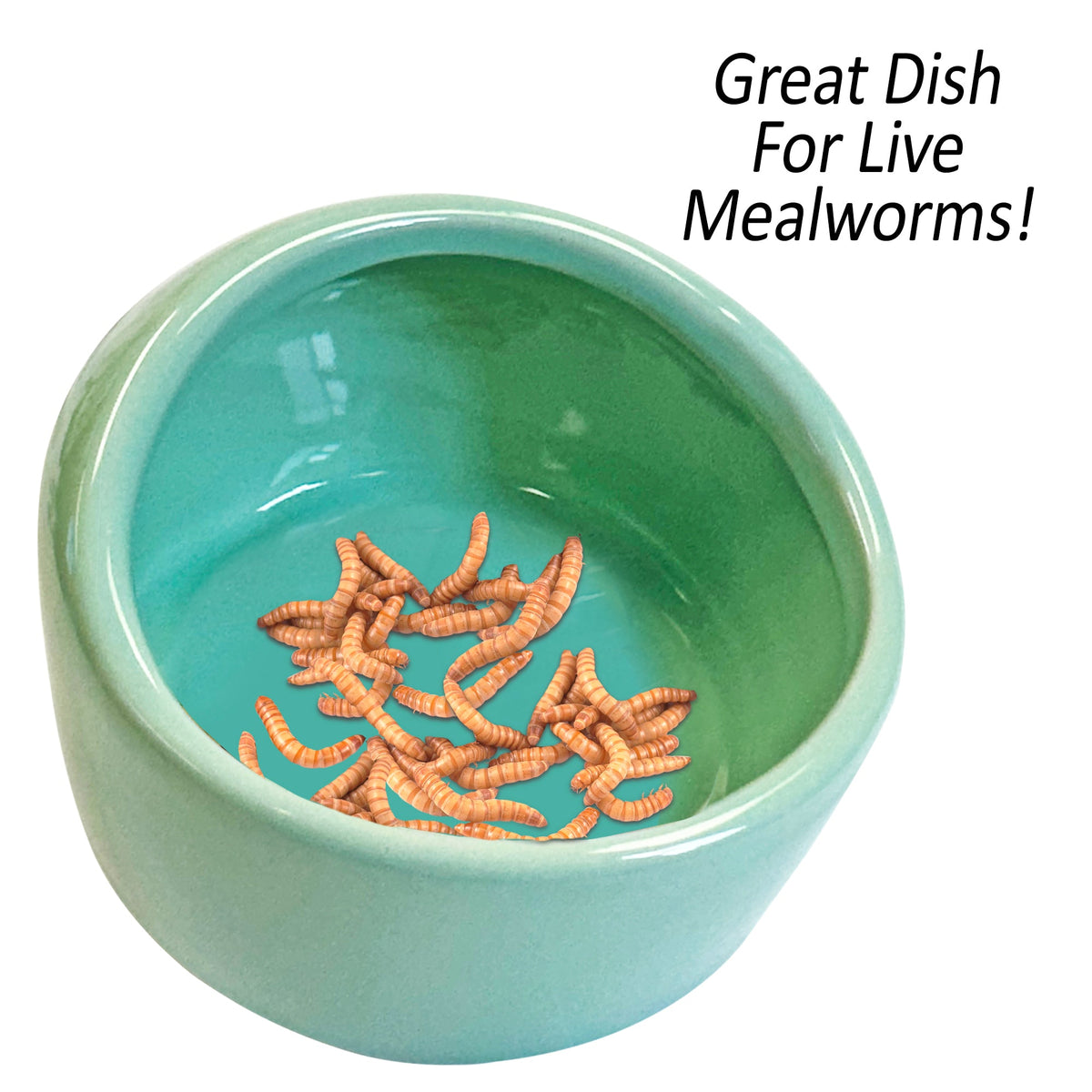 No-Tip Ceramic Feed Station