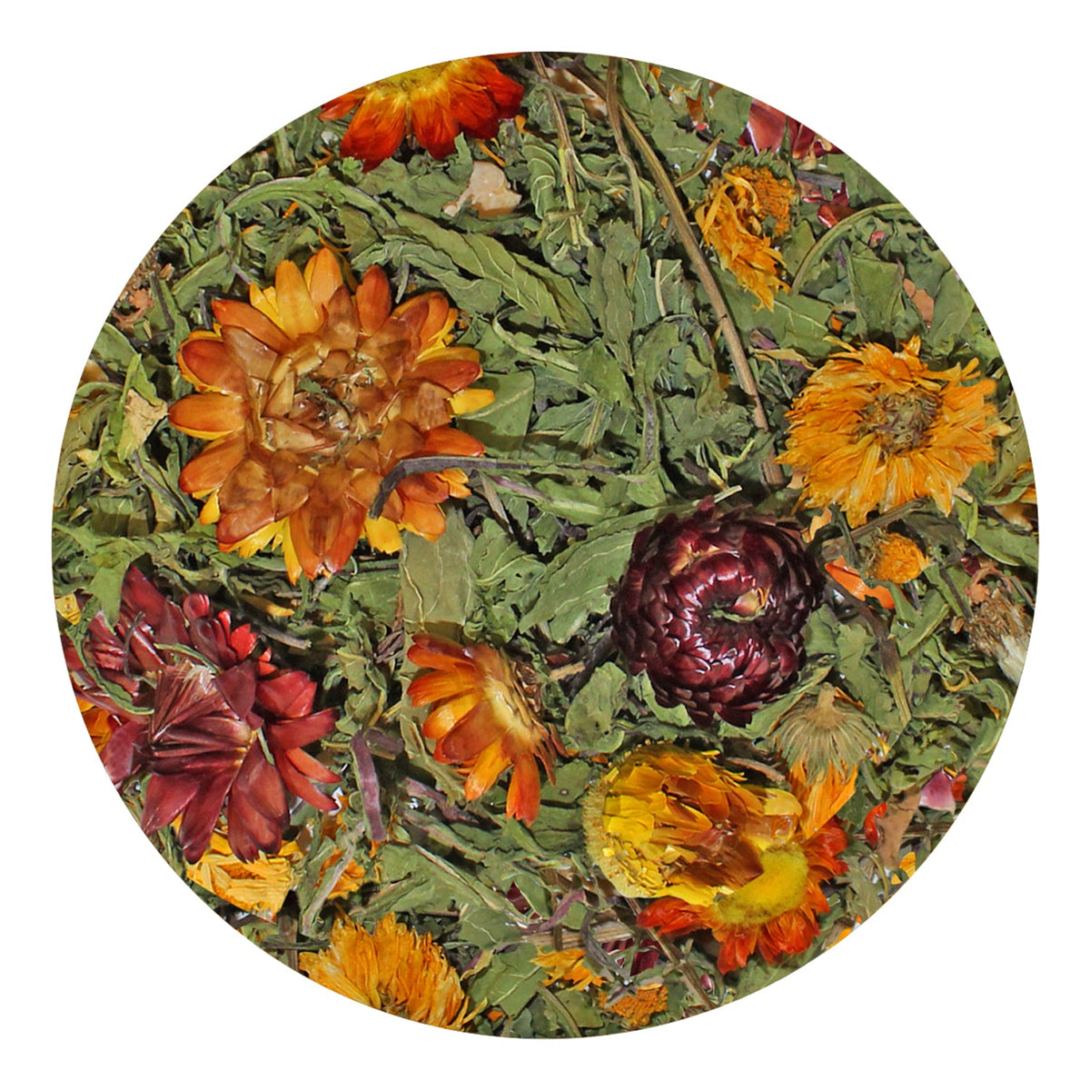 Dandelion Delicacy