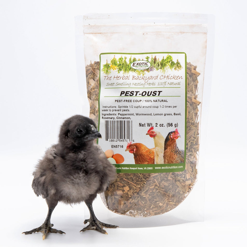 Chicken Herb 3 Pack