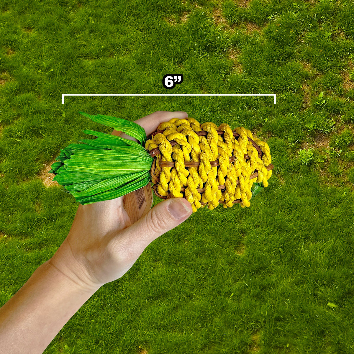 Pineapple Chew