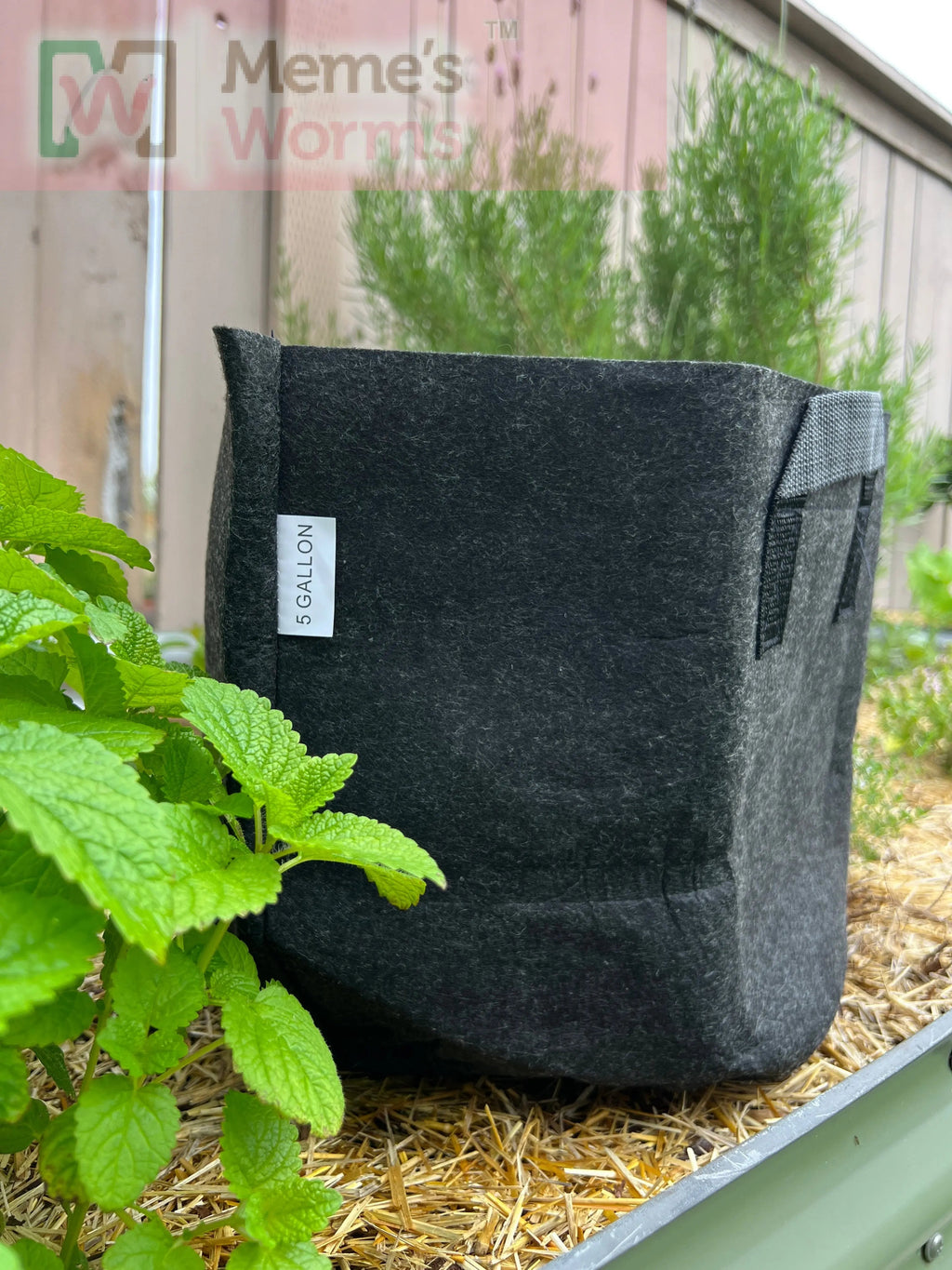 Hobbyist Bundle - Ready to Go Worm System, Worm Bin, Course and Castings