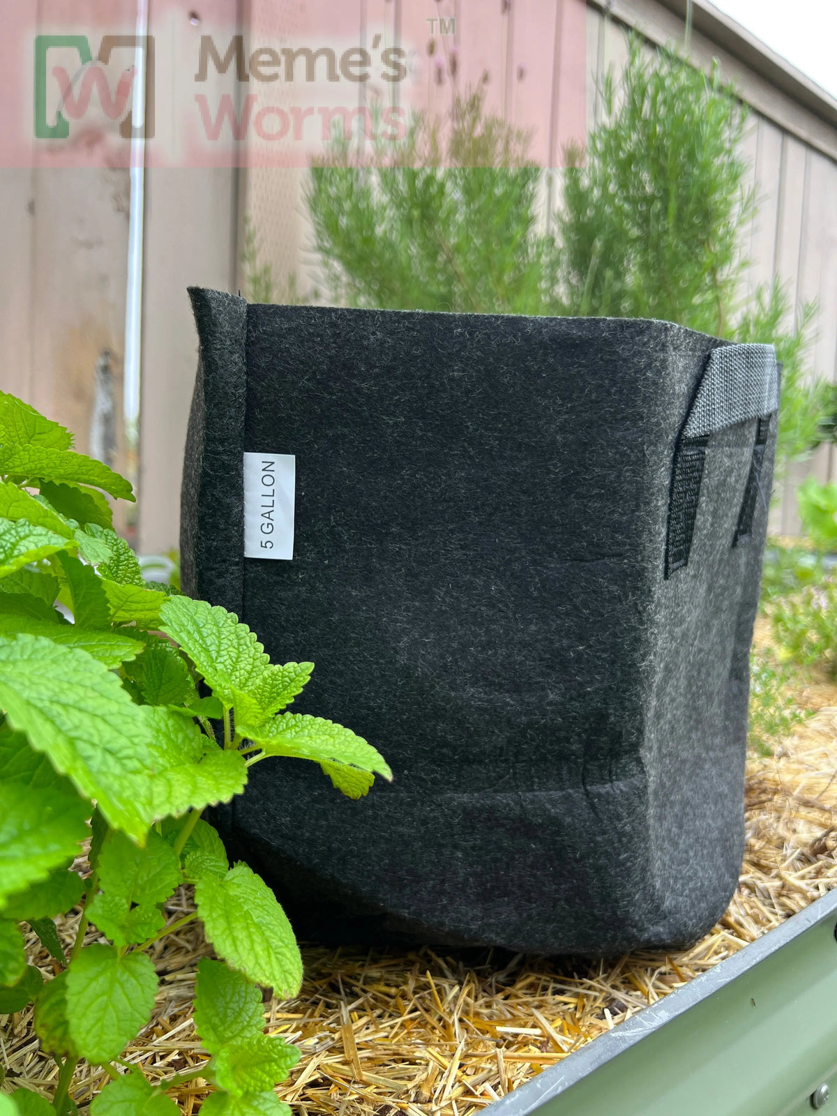 Hobbyist Bundle - Ready to Go Worm System, Worm Bin, Course and Castings