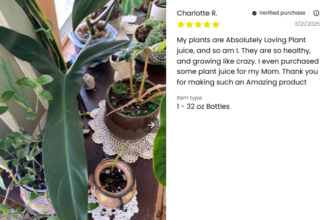 Plant Juice