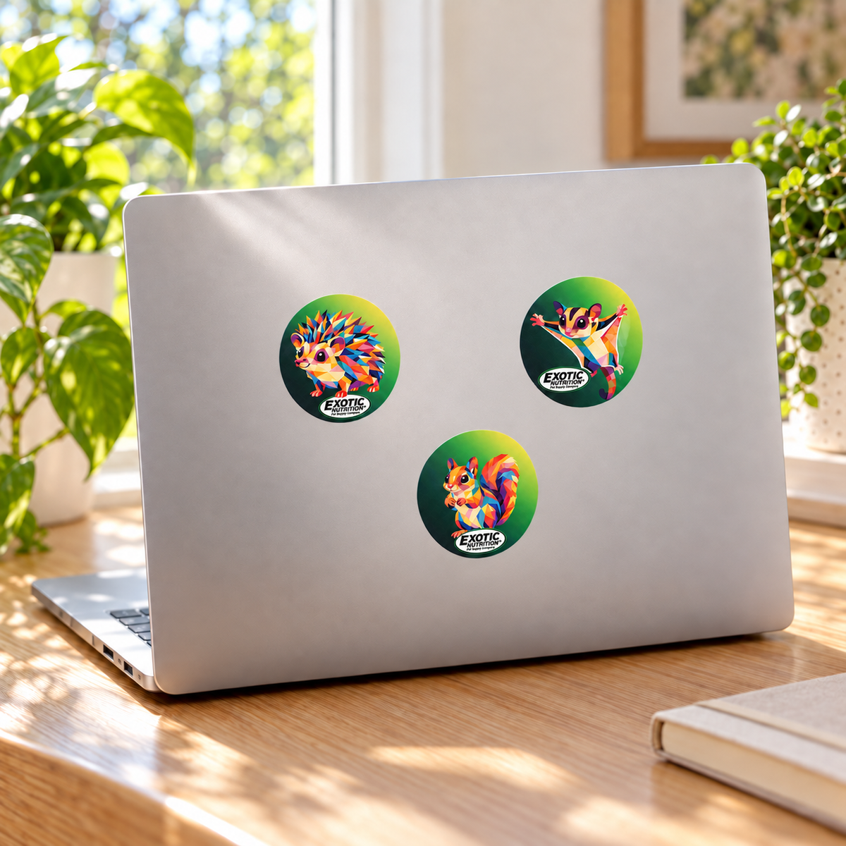 Peel-and-Stick Stickers