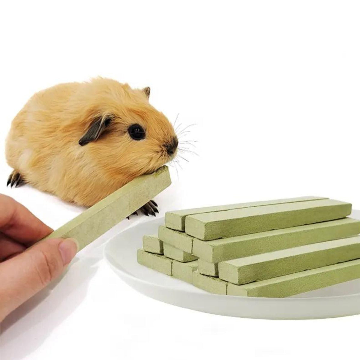 Timothy Bars