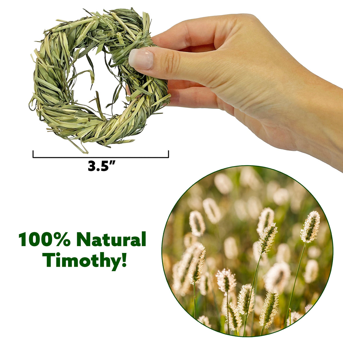 Timothy Rings