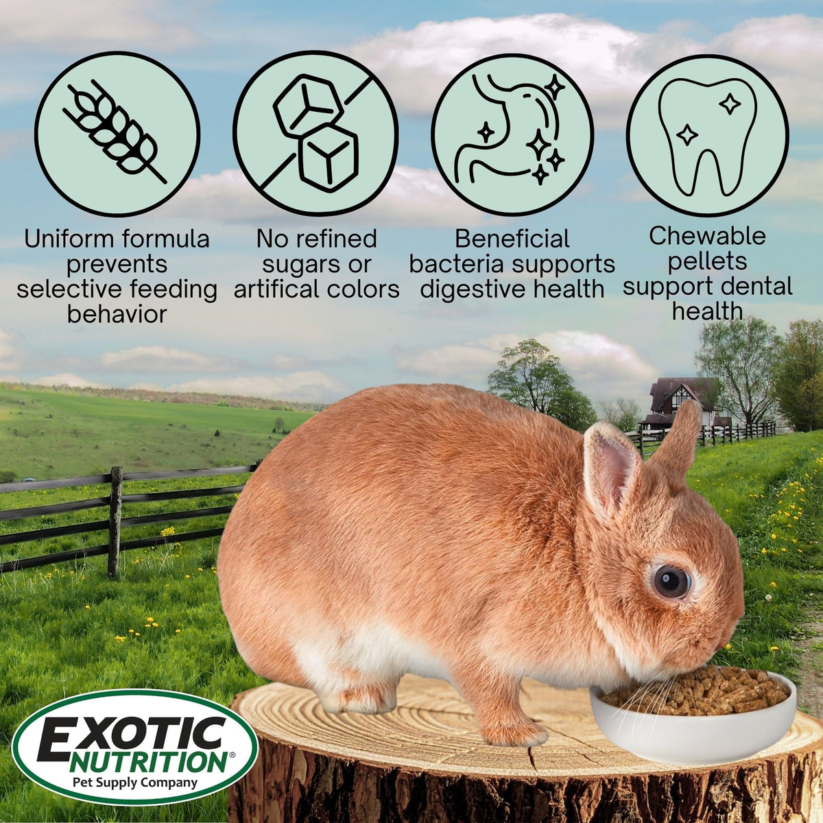 Timothy Pellets Rabbit & Guinea Pig Food