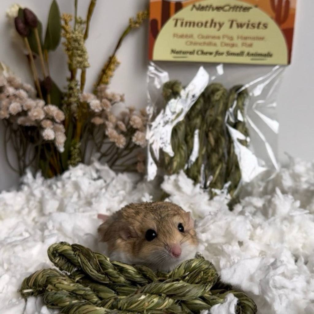 Timothy Twists
