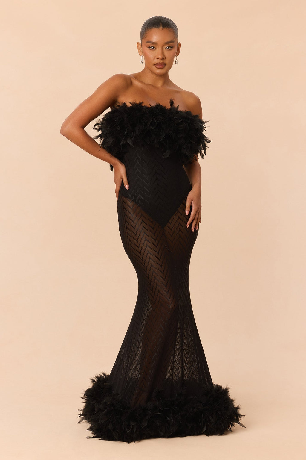 Regal Sheer Feather Trim Gown - Black