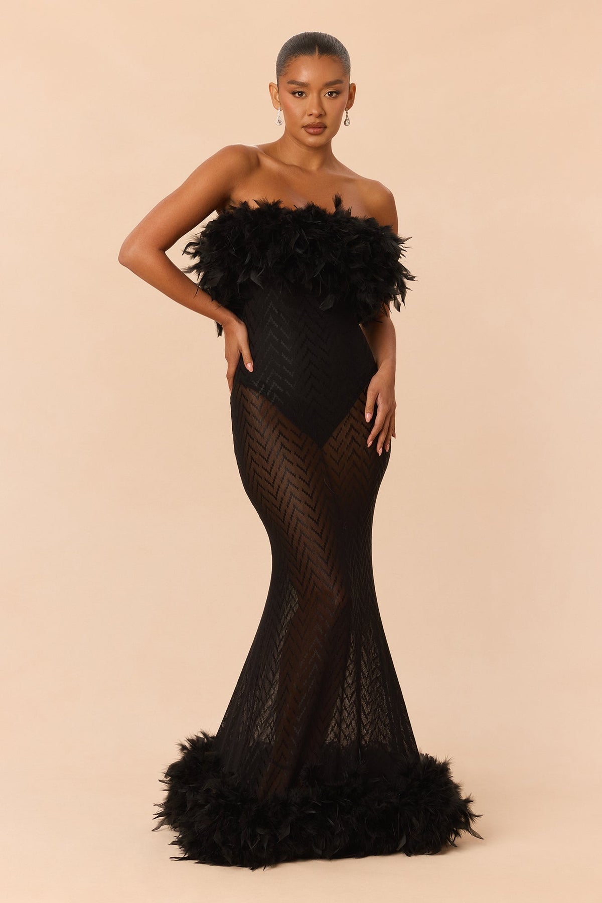 Regal Sheer Feather Trim Gown - Black