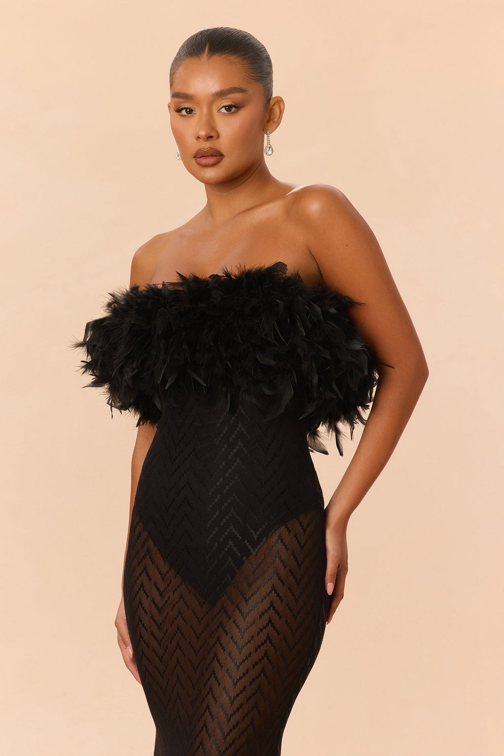 Regal Sheer Feather Trim Gown - Black