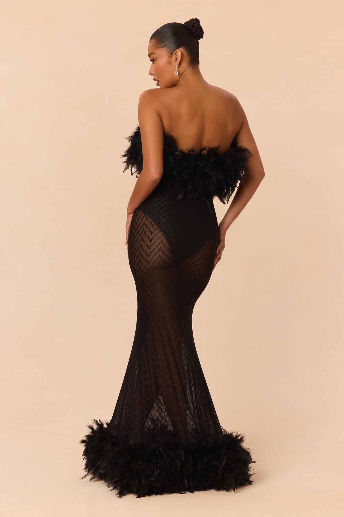 Regal Sheer Feather Trim Gown - Black
