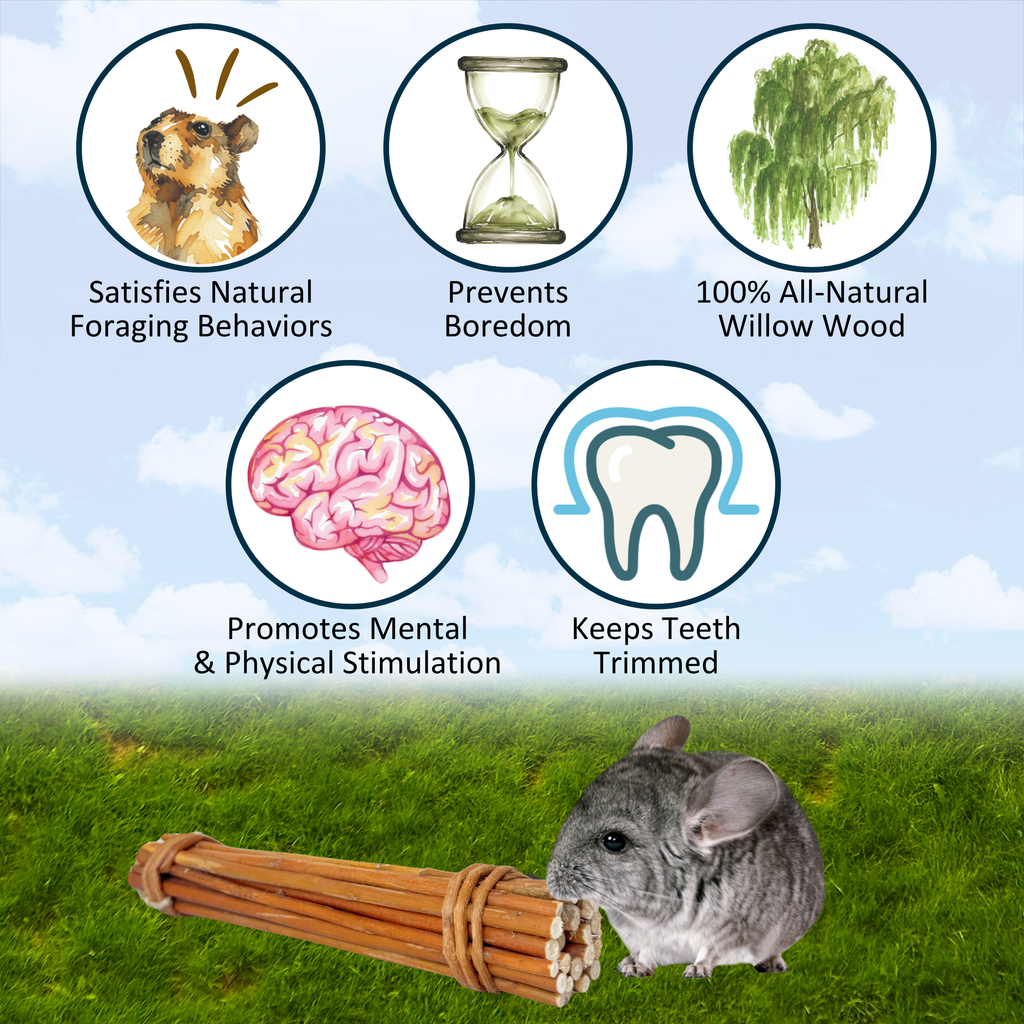 Willow Bundle