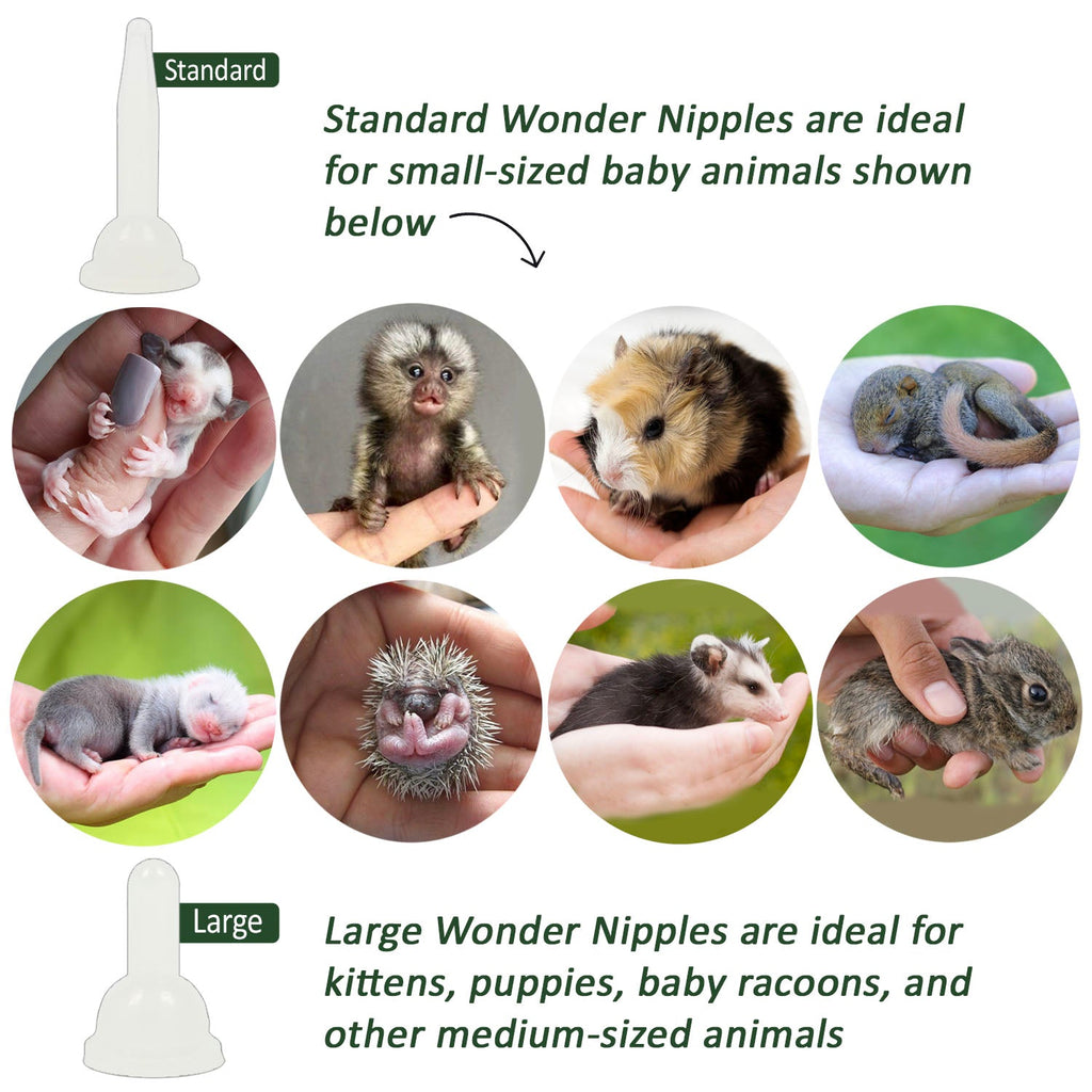 Silicone Syringe Nipples
