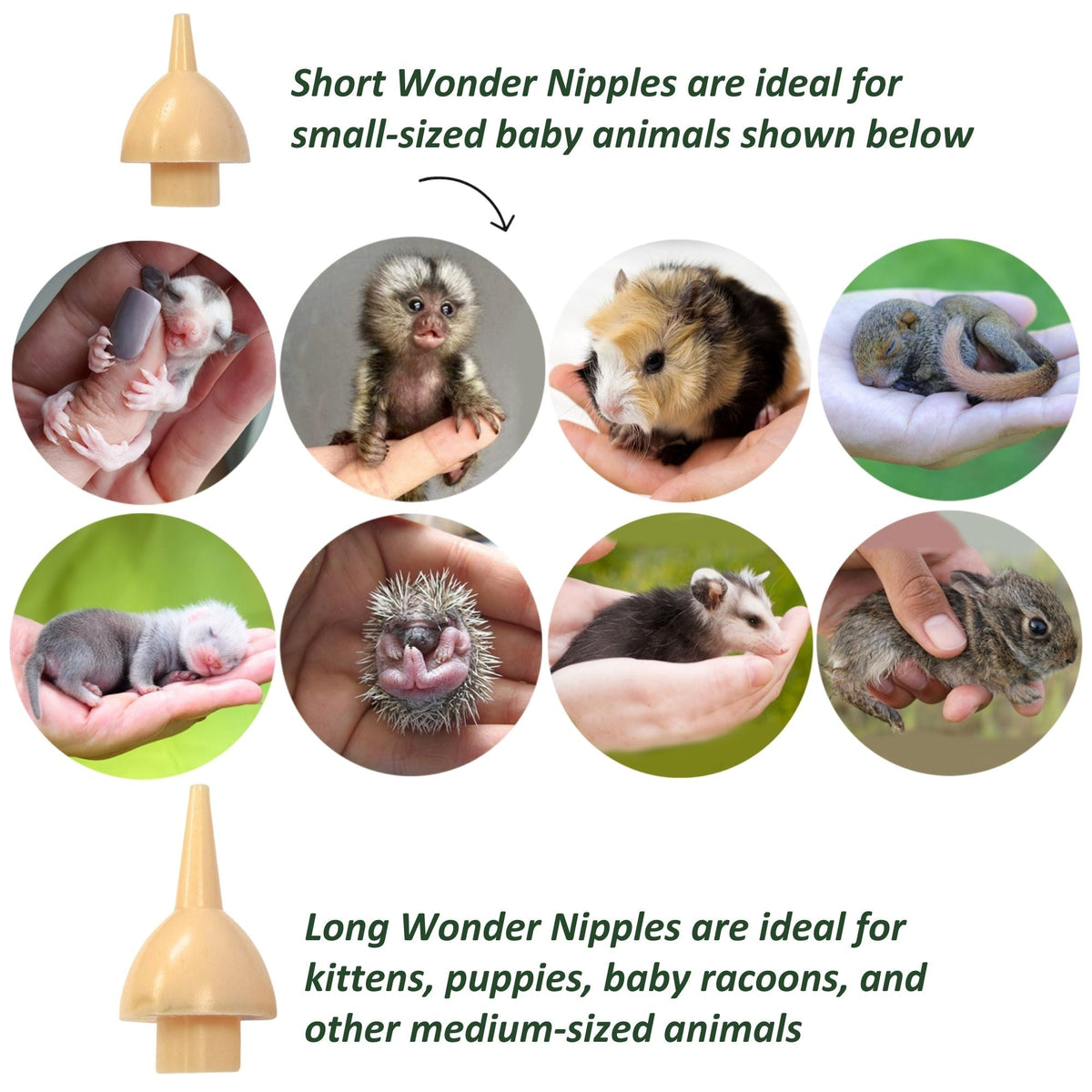 Wonder Nipple