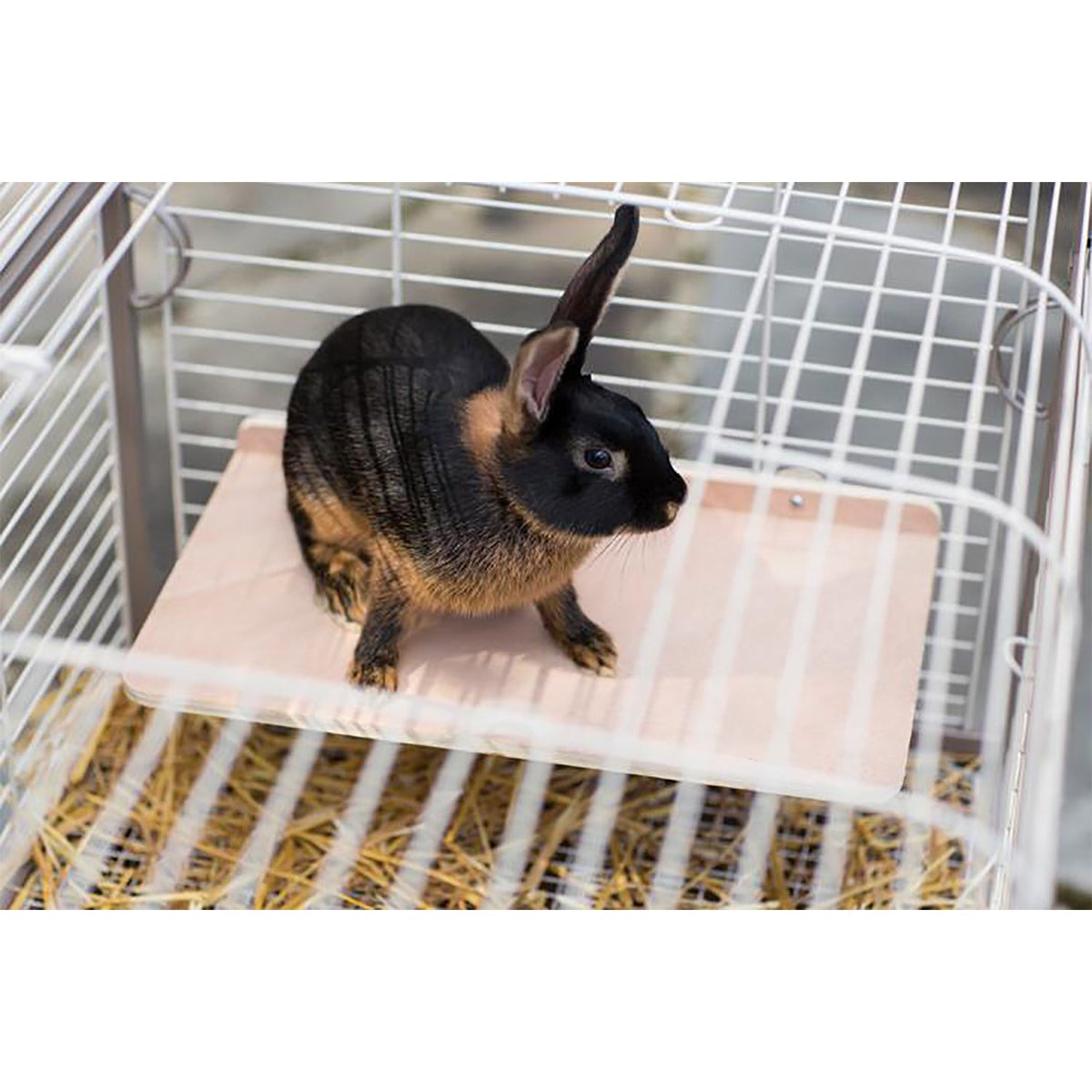Wood Platform Set (3 Pack)