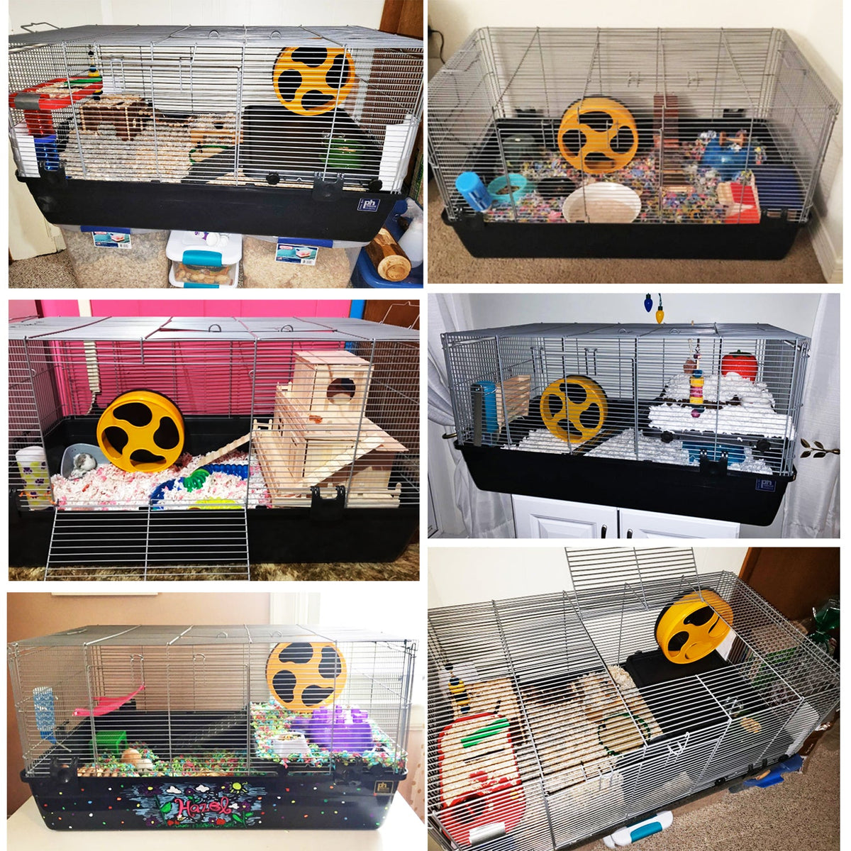 Zanzibar Cage