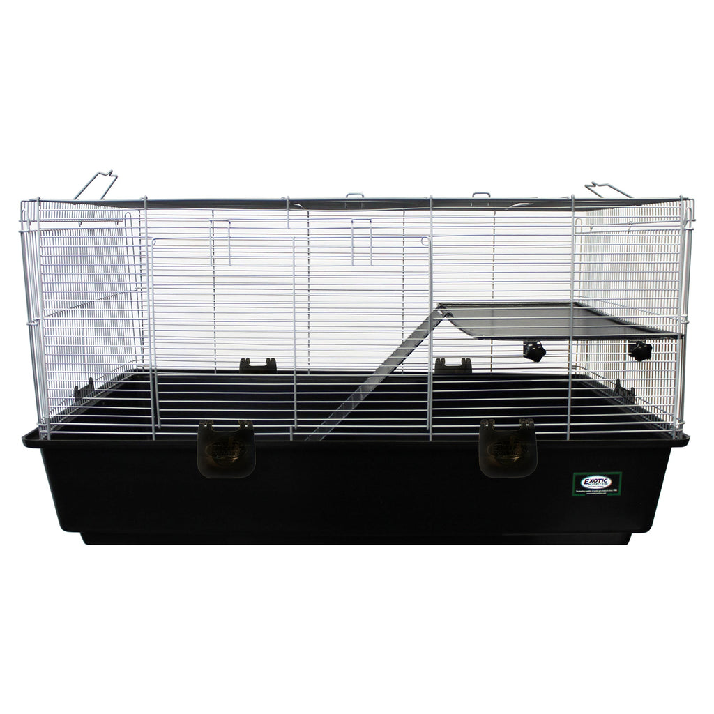 Zanzibar Cage