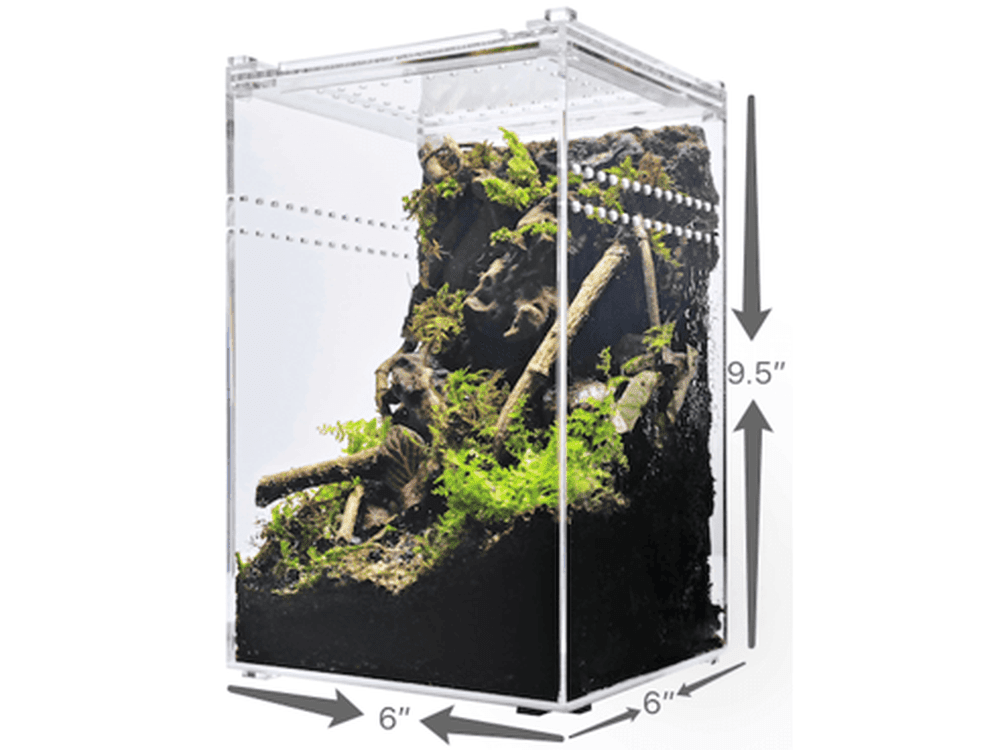 Herpcult Acrylic Enclosure Small-Tall   6"x6"x9.5"