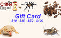 Critter Depot Gift Card