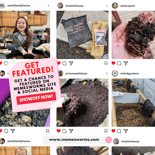 Microbial Compost Food