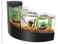 Aqueon Betta Falls Kit Black 1ea/One Size