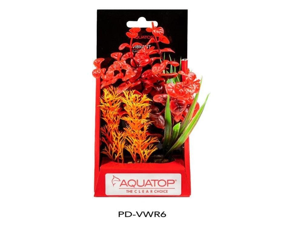 Aquatop Vibrant Wild Plant Red, 1ea/6 in