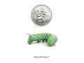 Medium Hornworm 24ct (Case Of 12) Auction