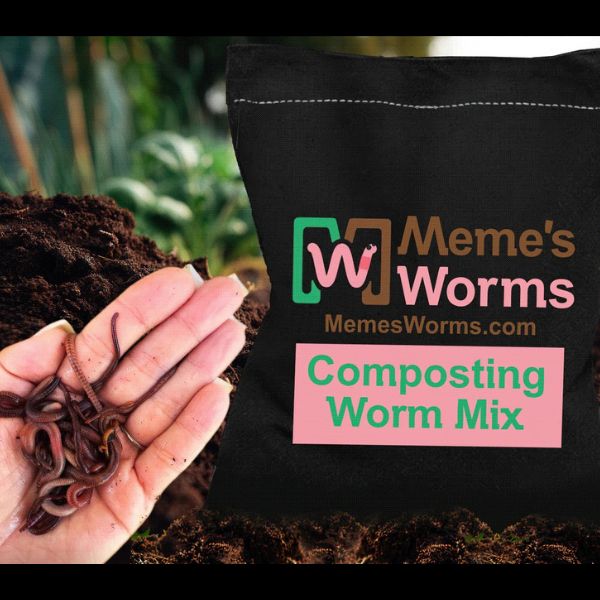 Composting Worm Mix – Red Wigglers & European Nightcrawlers