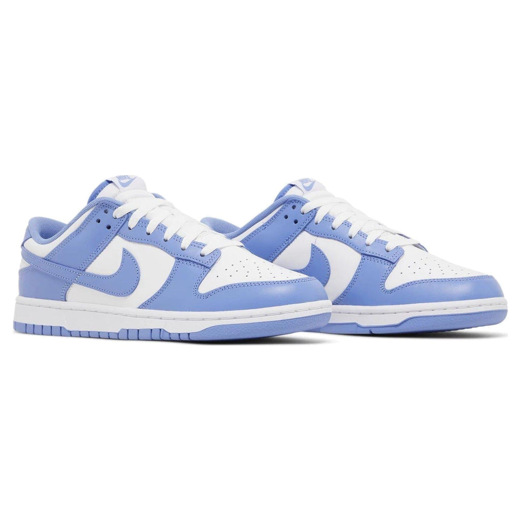 Nike Dunk Low Polar Blue