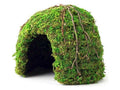 Galapagos Mossy Dome Terrarium Hideaway Fresh Green, 1ea/6 in