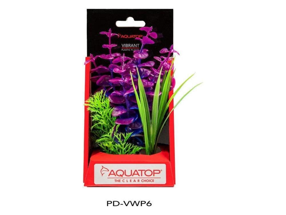 Aquatop Vibrant Wild Plant Purpleberry, 1ea/6 in