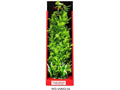 Aquatop Vibrant Wild Plant Green, 16 in