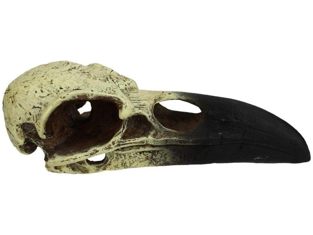 Komodo Raven Skull Hideout MED