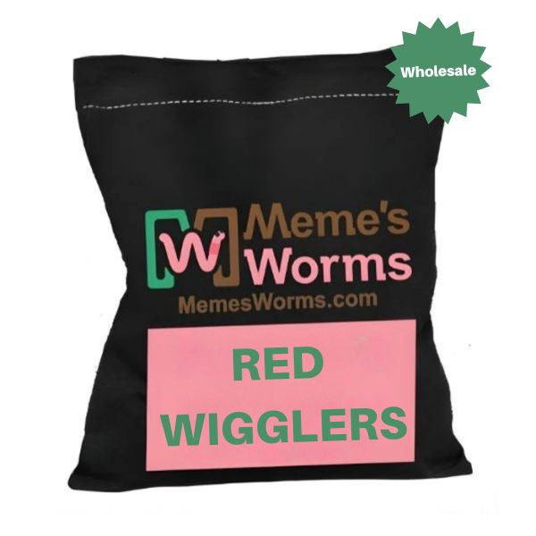 20LBS Pure Red Wiggler Composting Worms For Sale - FREE SHIPPING  (Approx. 20000 Worms)